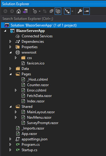 Blazor Server App in Solution Explorer