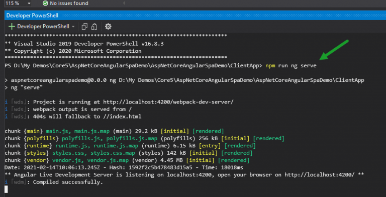A Guide for Building Angular SPA with ASP.NET Core 5 Web API