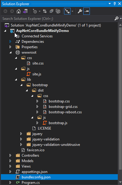 Solution Explorer with bundleconfig JSON file