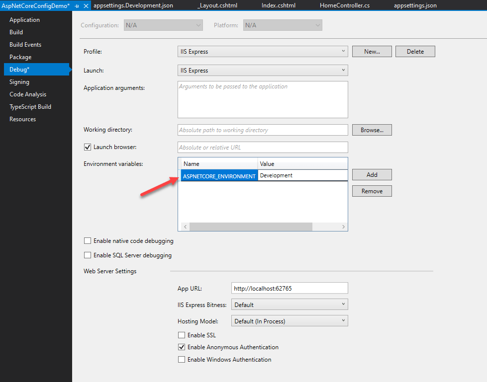 ASP.NET Core Web Application environment in Visual Studio 2019