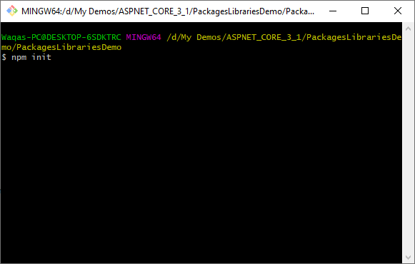 Using npm from command line